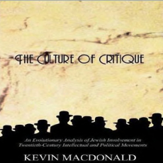 the culture of critique the culture of critique